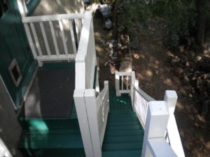 After Remodeling by Vazquez Contracting