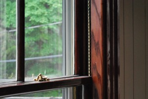 After Remodeling by Vazquez Contracting